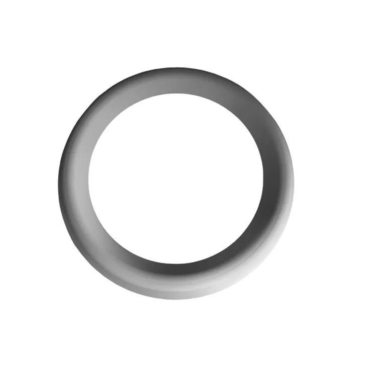 0200-00137 Focus Ring Ceramic DPS 2nd Source New